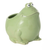 Large Frog Planter
