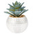 Small Disco Succulent Pot