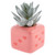 Heart Dice Succulent Pot