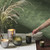 Balsam & Cedar Large Baltic Glass Candle Balsam & Cedar Large Baltic Glass Candle