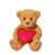 Teddy Bear with Pink + Red Heart