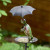 Bird Feeder / Garden Stake Rainy Day Turtle