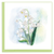 Lily of the Valley Card