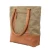 Plain Canvas Tote with Leather