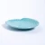 Fish Shaped Porcelain Plate -Turquoise