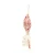 Musical Pull - Blossom Cream Bunny Berry