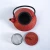 Cast Iron Tea pot - Red Ginko