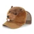 3D Beaver Hat