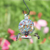 Dew Drop Hummingbird Feeder- Sprinkles