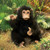 Baby Chimpanzee Puppet