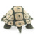 Tortoise Puppet
