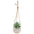 Sloth Hanging Succulent