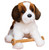 Dog St Bernard Oma Dog St Bernard Oma