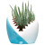 Shark Planter Shark Planter