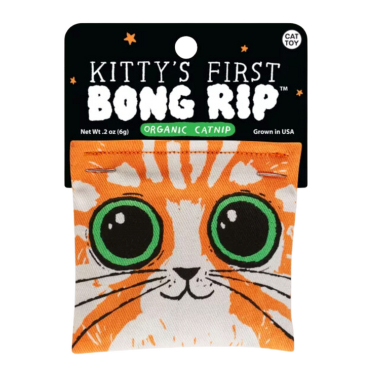 Kittys First Bong Rip Catnip