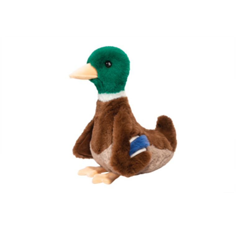 Desie Mallard Duck