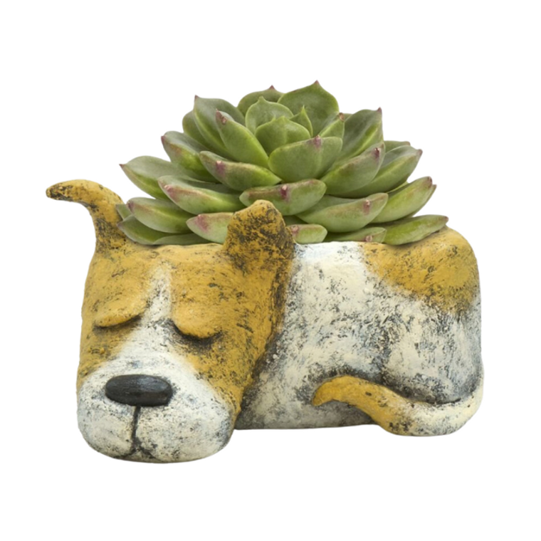 Luna The Sleeping Dog Planter