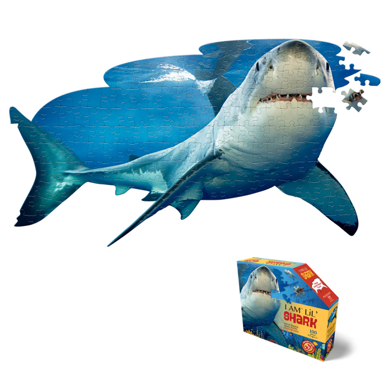 100pc Puzzle - I Am Lil Shark