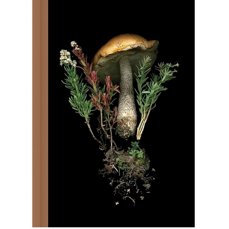 Deep Dark Forest Notecards