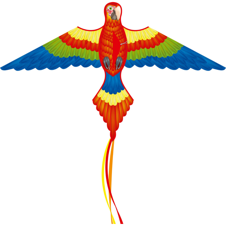 Parrot  Kite