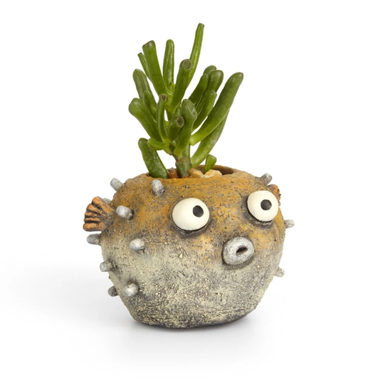 Hootie Blow Fish Planter