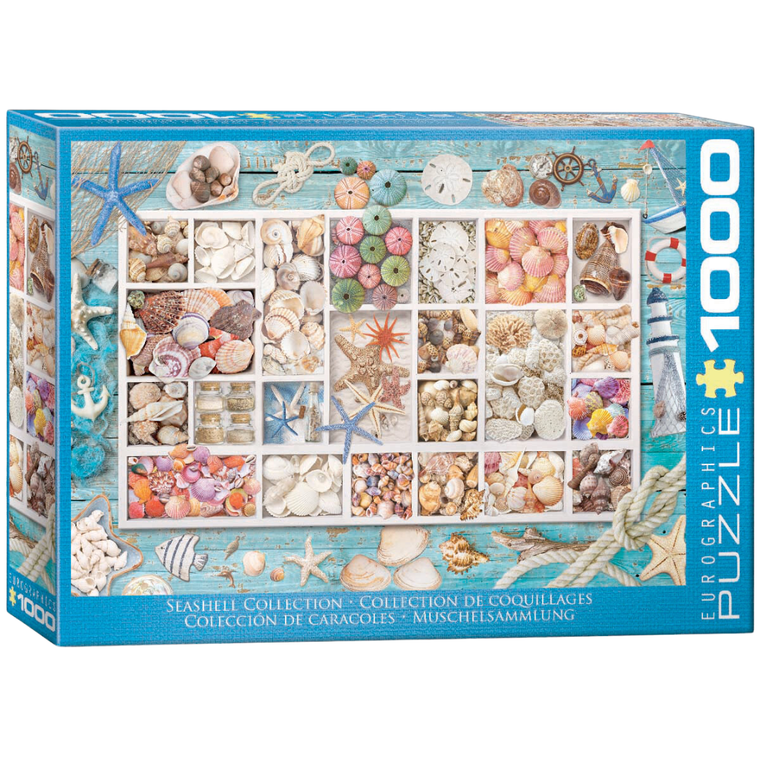 Seashell Collection 1000 Piece Puzzle