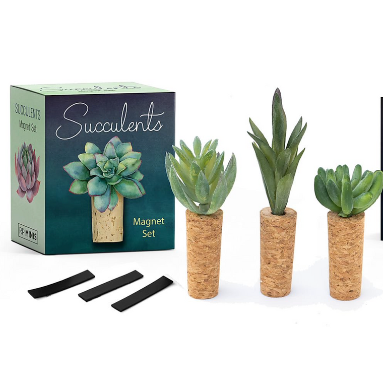 Succulent Magnet Set