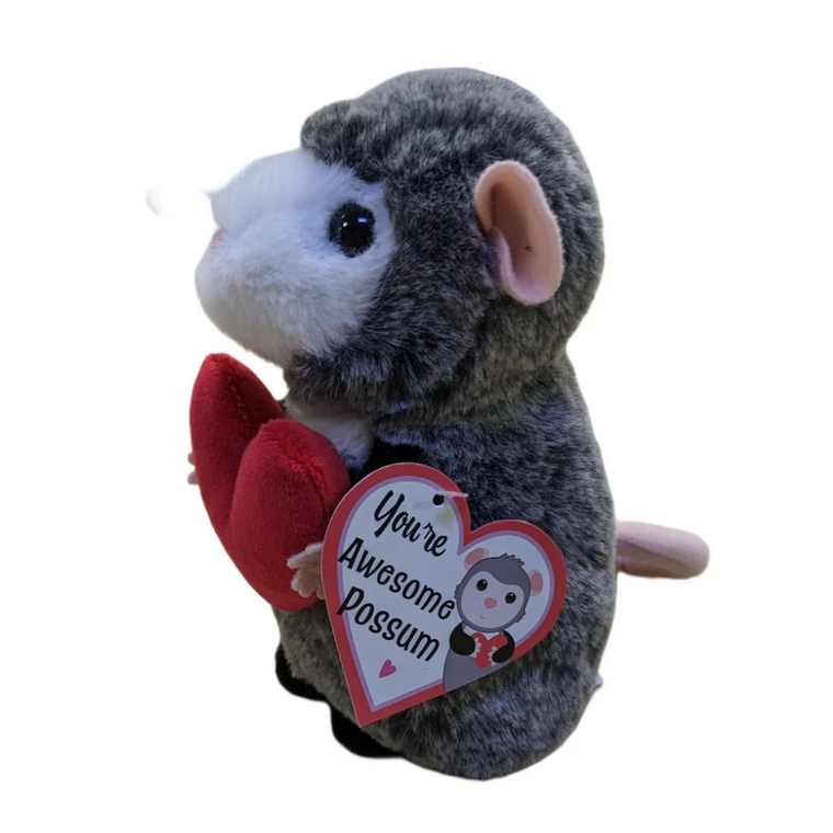 Lil Baby Possum Valentines