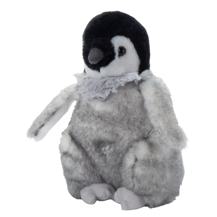Penguin Chick