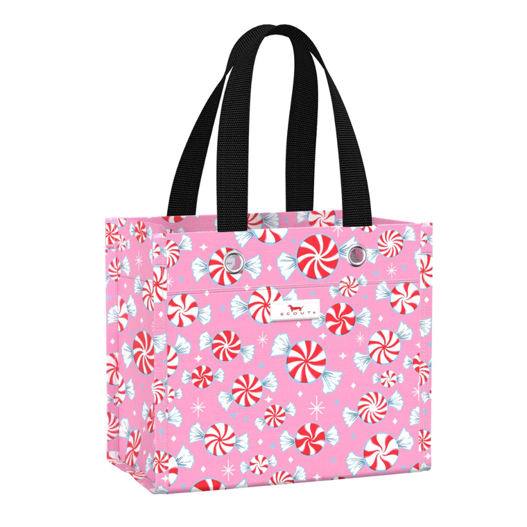 Tiny Package Candyland Gift Bag