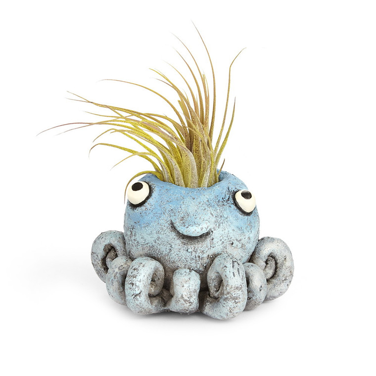 Inkie The Octopus Planter