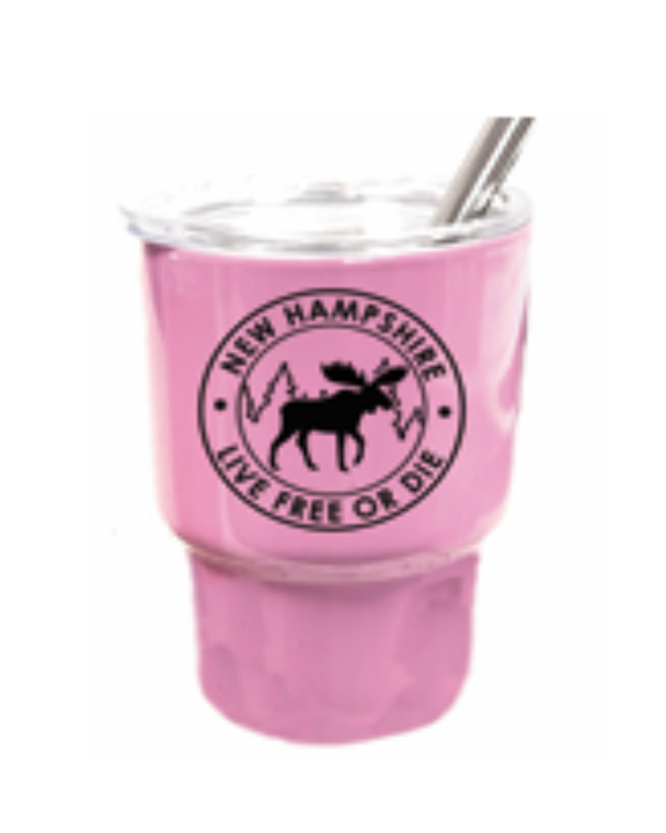 Mini Stainless NH Stanley - Pink