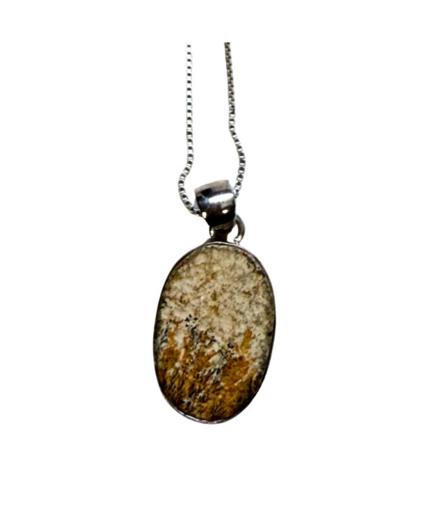 Oval Fossilized Fern Silver Necklace