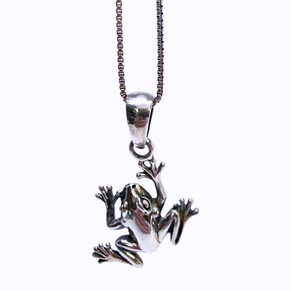 Silver Frog Necklace