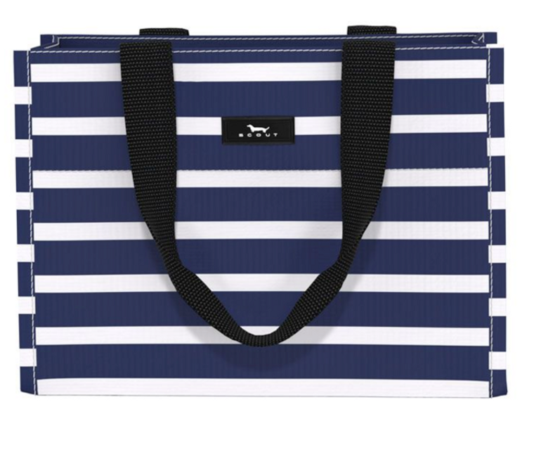 Tiny Package- Nantucket Navy