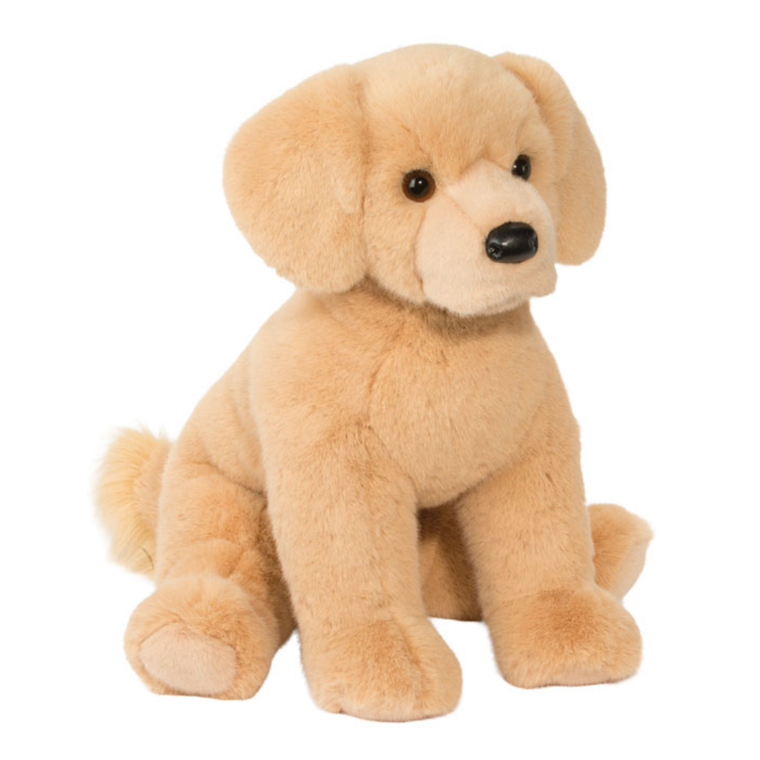 Denali Golden Retriever
