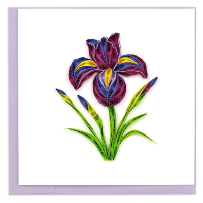 Quilled Iris Card