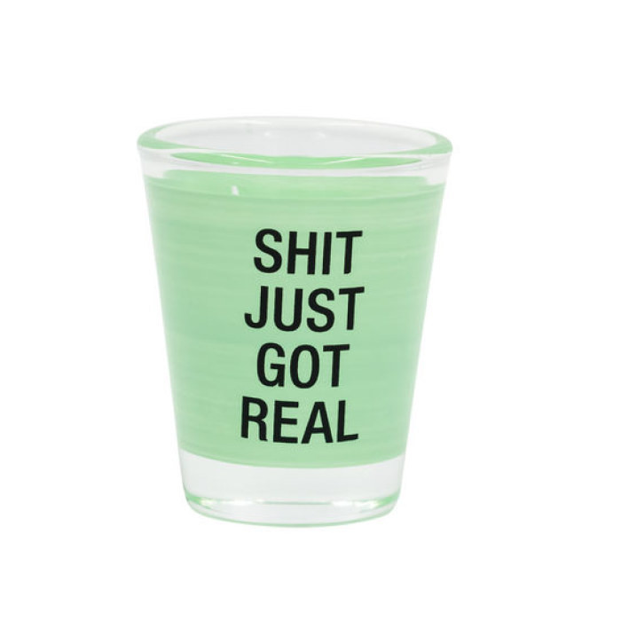 Sh*t Just Got Real Shot Glass