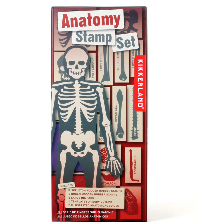 Anatomy Stamp Set