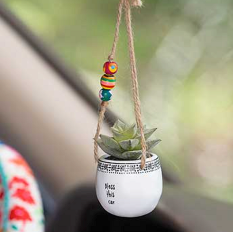 Bless This Car Hanging Succulent Mini