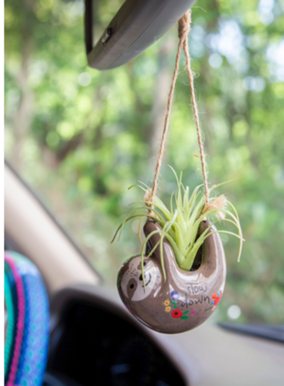 Sloth Hanging Succulent Mini