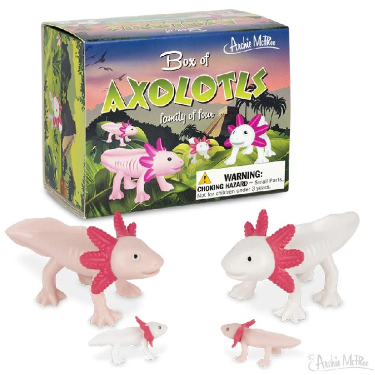 Box of Axolotls