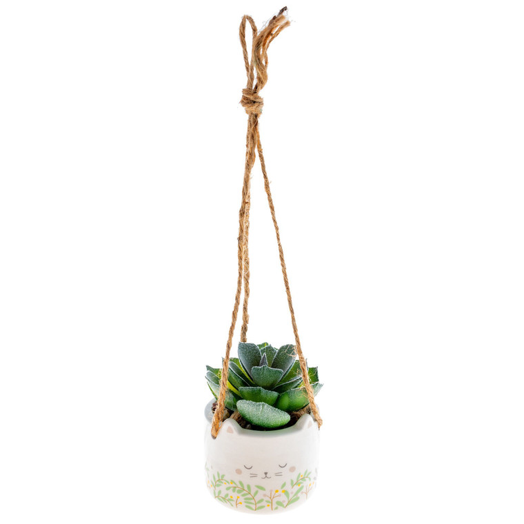 Cat Hanging Succulent