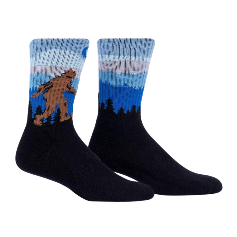 Hide and Seek Champion Men's Athletic Socks