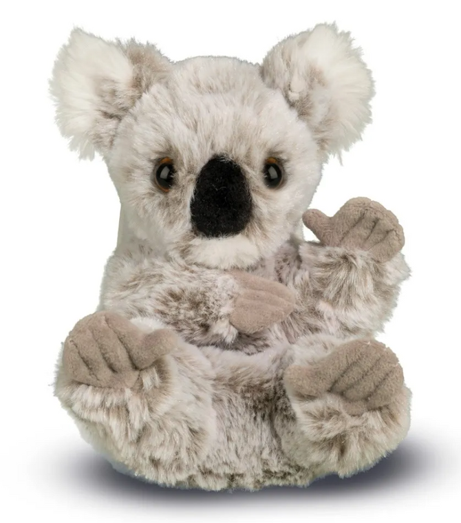 Lil' Handful Koala