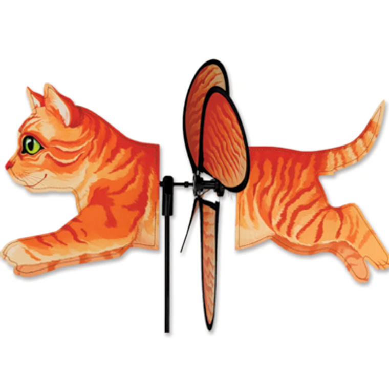 Spinner - Orange Tabby Cat