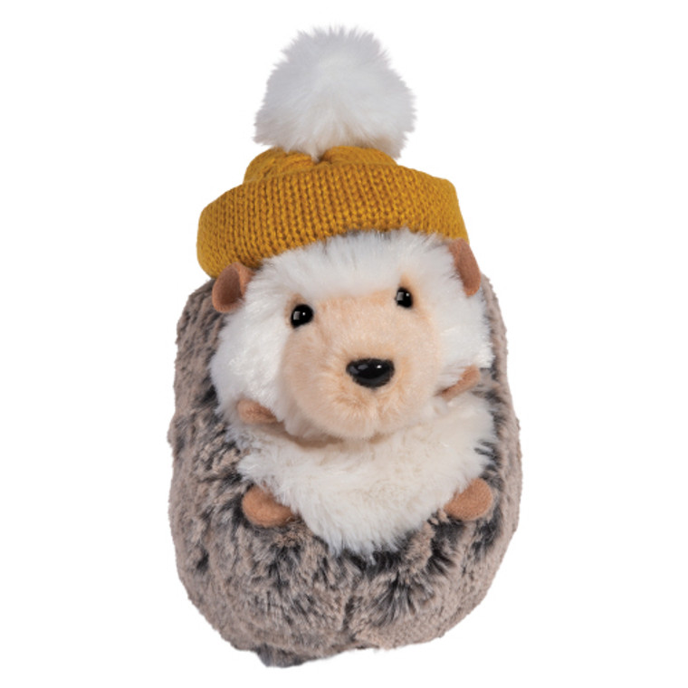 Spunky Hedgehog With Winter Hat