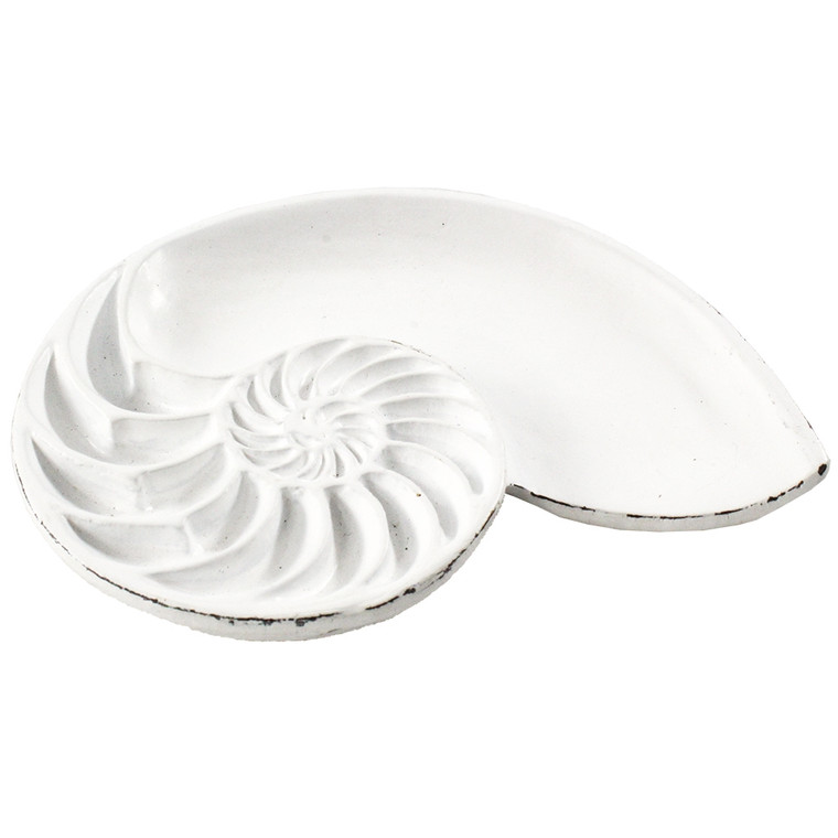 White Nautilus Shell Trinket Tray