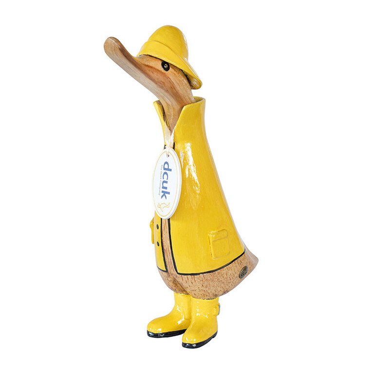 Duckling Wearing a Yellow Raincoat