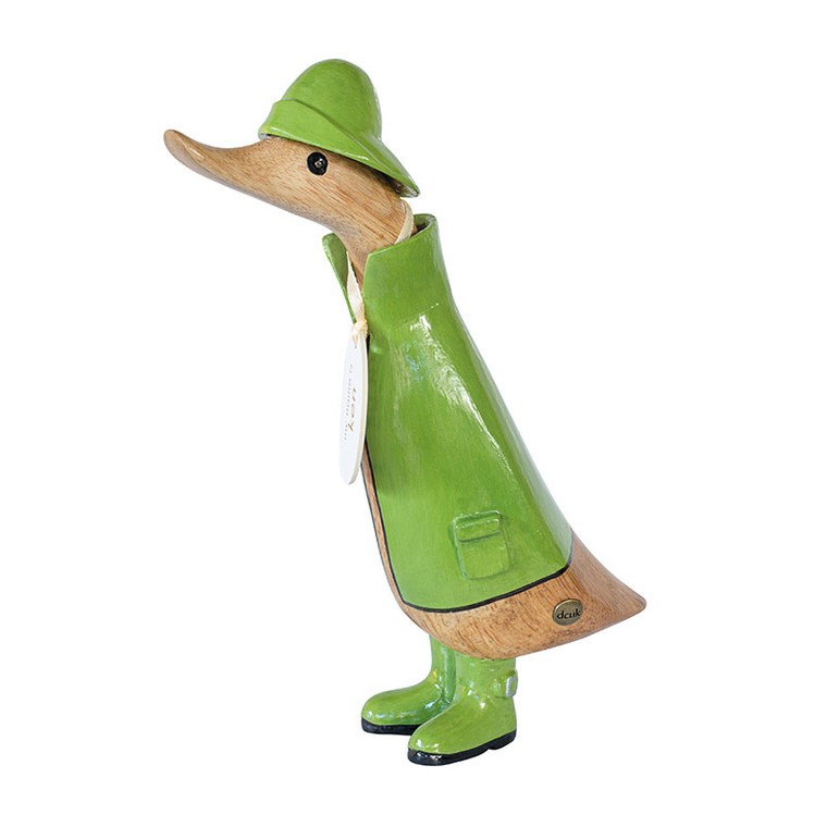 Duckling Wearing a Green Raincoat